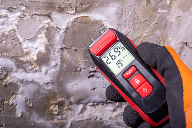 Best Same-Day Mold Removal  in Rome, IL