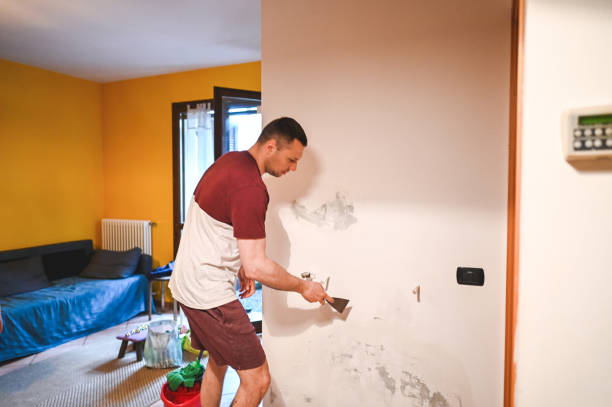 Best Affordable Mold Removal  in Rome, IL